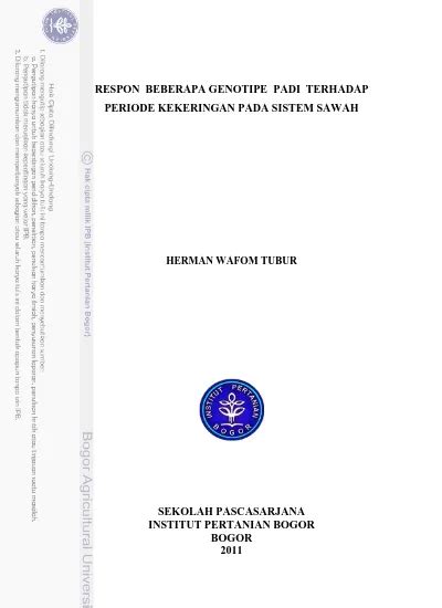 Respon Beberapa Genotipe Padi Terhadap Periode Kekeringan Pada Sistem