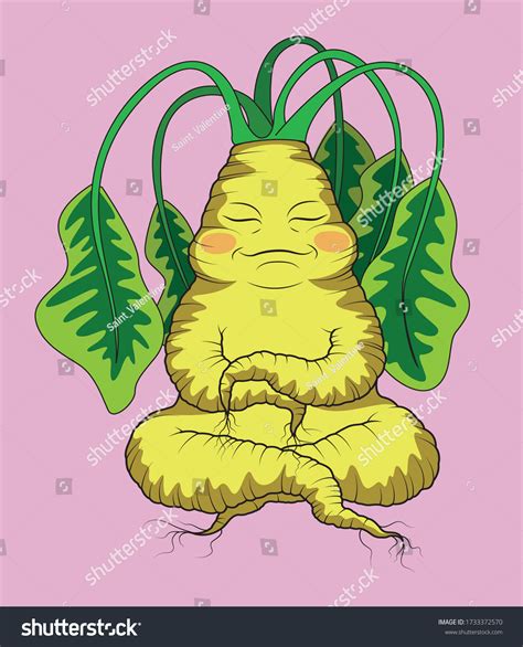 431 Root Mandrake Images, Stock Photos & Vectors | Shutterstock