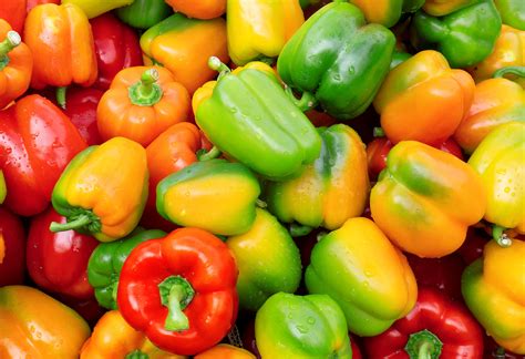 Cajun Belle Pepper Farm Fresh Selects