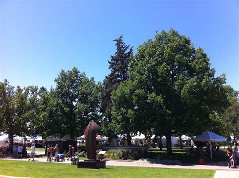 Arts Picnic in Greeley, Colorado