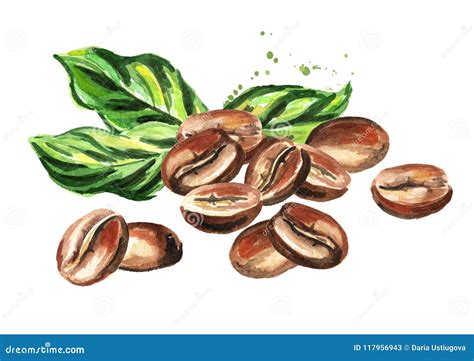 Coffee Beans With Green Leaves Composition Watercolor Hand Drawn