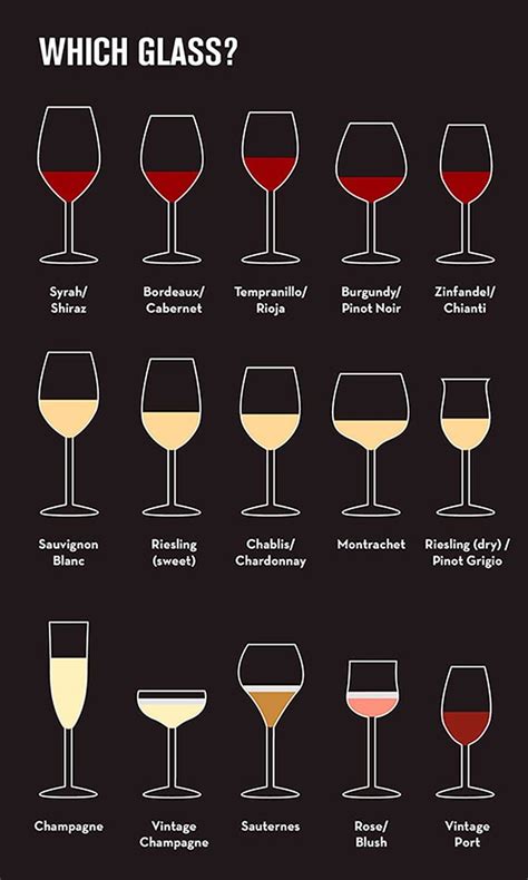 Know Your Wine A Beginner S Guide To The Most Common Types Of Wine