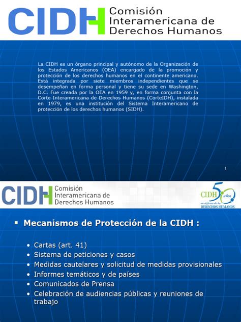 Sistema Interamericano De Ddhh Pdf