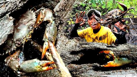 Masuk Hutan Berburu Kepiting Bakau Tanpa Alas Kaki Dengan Alat Seadanya