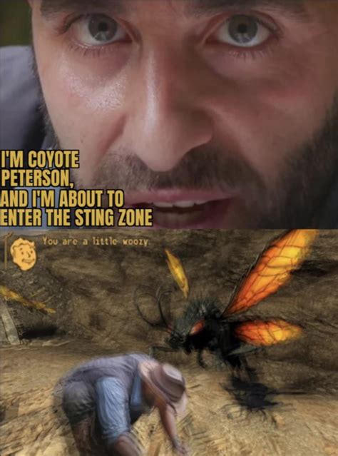 Coyote Peterson commits sting zone : r/fnv