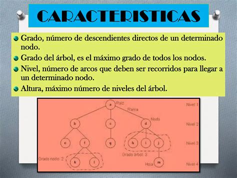 Estructura De Datos Rboles Y Grafos Ppt