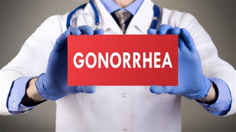 Gonorrhea in Women | Page 2 of 6 | Health Citrus