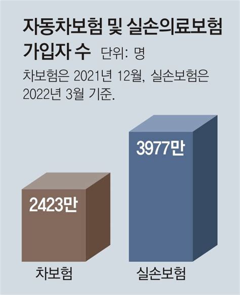 2023년 실손보험료 인상 자동차보험료 인하 혼자만의 사랑