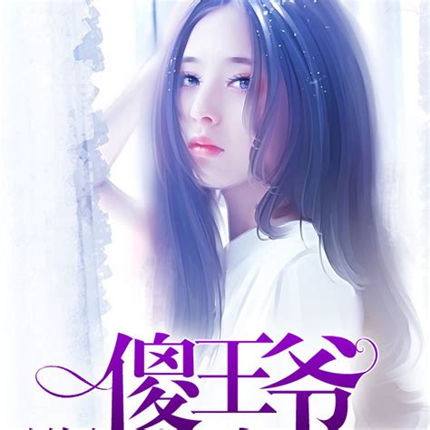 上门女婿：傻王爷跟我走（七洛创作的网络小说）百度百科