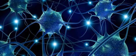 Why Synaptic Pruning is Good for the Brain