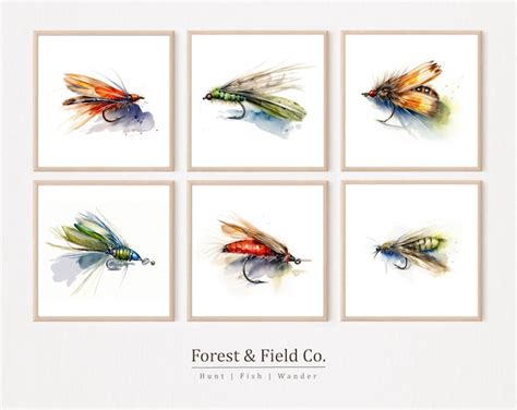 Fishing Art Gallery Art Fly Fishing Prints Set of 6 Hand Drawn Fishing Flies Fisherman Art ...