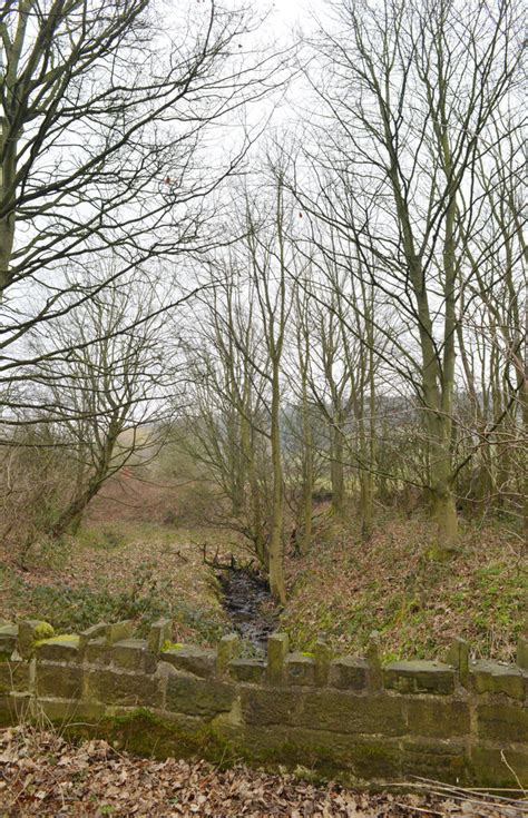 Grimescar Dike Seen From The Kirklees Habiloid Cc By Sa