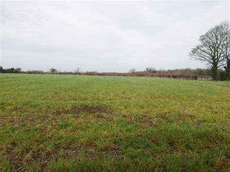 Property 25 Acres Of Agricultural Land In Walsh Island To Let On A