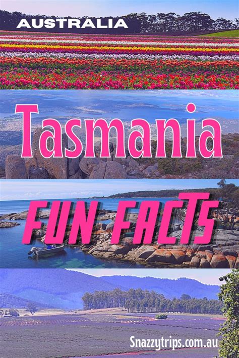 Fun And Fascinating Facts About Tasmania Tasmania Fun Facts