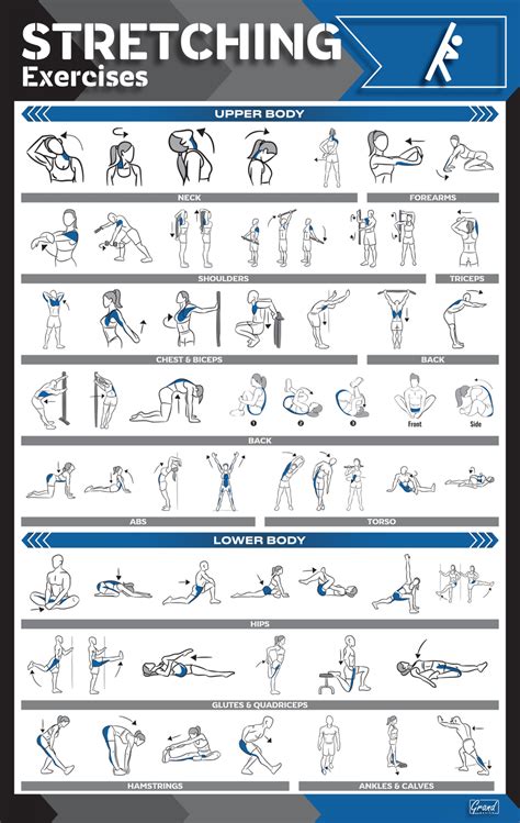 Workout Poster Fitness Poster Exercise Posters For Home Gym (with 7FB ...