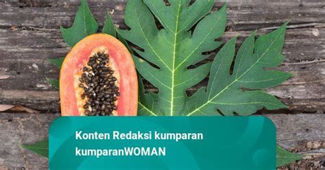 5 Manfaat Daun Pepaya Untuk Kesehatan Tubuh