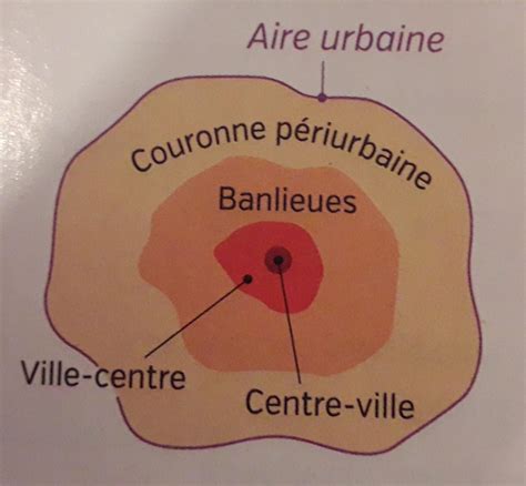 Bonjour Est Ce Que Vous Pouvez Maider A L Exercice Question Merci D