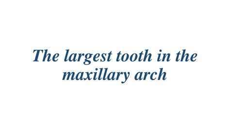 Solution Maxillary First Molar Studypool