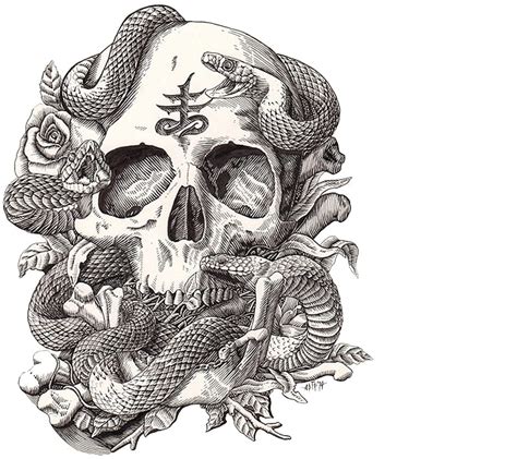 Discover Snake Skull And Rose Tattoo In Coedo Vn