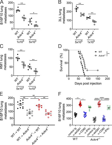 Loss Of Nonhematopoietic Ackr4 Inhibits Tumor Metastasis A C Wt Or