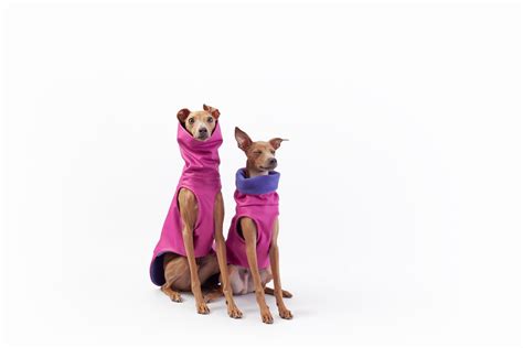 Italian Greyhound Winter Coat Warm Waterproof And Windproof Etsy Uk