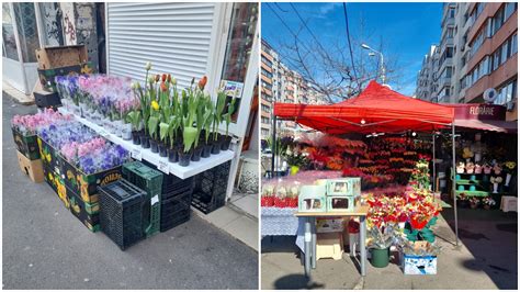 B Amenzi De Prim Var N Sectorul Poli I Tii Locali Au