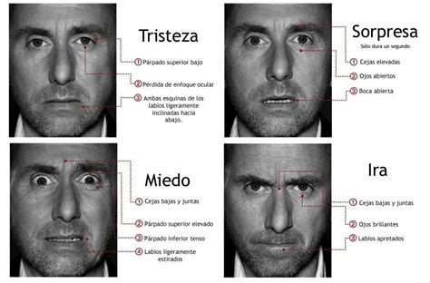 La Expresión Facial Comunicación no verbal