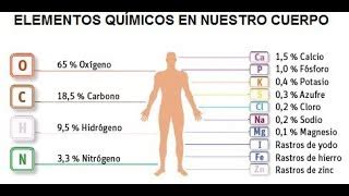 Elementos Quimicos En El Cuerpo Humano Y Su Funcion