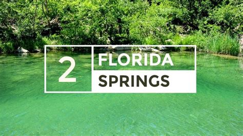 Florida Part Deux Lecanto Crystal River Springs