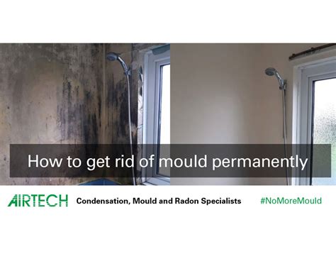 Airtech Offers Condensation And Mould Advice To Landlords As Energy