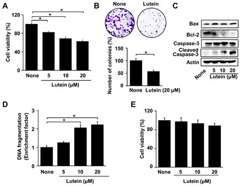 Lutein Induces Reactive Oxygen Species Mediated Apoptosis In Gastric