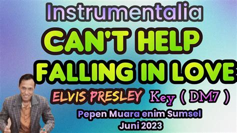 Instrumentalia Can T Help Falling In Love Elvis Presley Cover Pepen