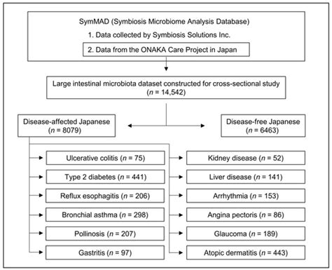 Biomedicines Free Full Text Sex Differences In Intestinal