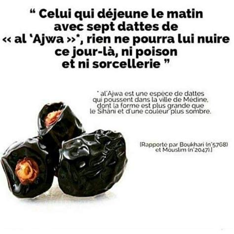 Hadith du jour Les dattes guérissent du poison et de la sorcellerie