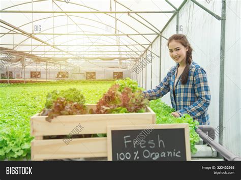 Organic Vegetable Farm Image & Photo (Free Trial) | Bigstock