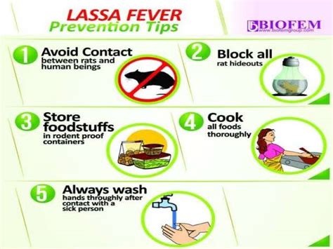 Lassa Fever Is Here Again Read How To Prevent And Control An Outbreak