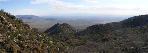 Pine Tree Trail - view northeast: Aguirre Spring Recreation Area, New Mexico