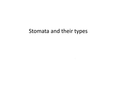 SOLUTION: Stomata and types - Studypool