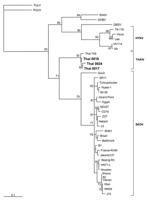 Phylogenetic Tree Fitch Margoiliash Of Hantaviruses Based On Partial