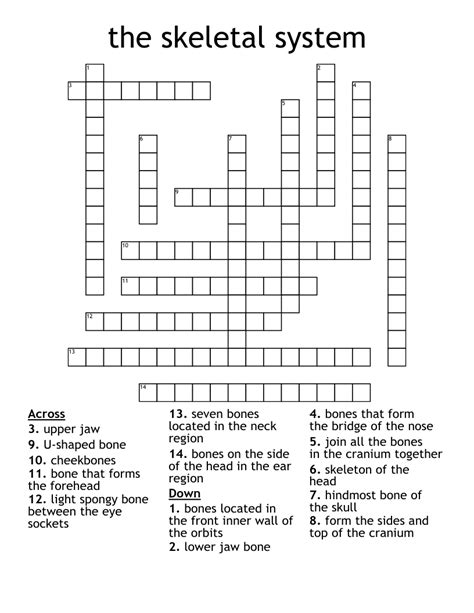 The Skeletal System Crossword Wordmint