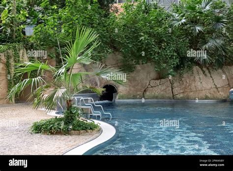 View Of Palm Tree And Swimming Pool In Water Park Stock Photo Alamy