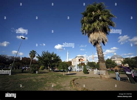 Hagia Sophia Mosque And Palm Tree Sultanahmet Istanbul Turkey 03 October