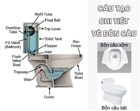 bon cau la gi cau tao bon cau ve sinh va nguyen ly hoat dong  nao