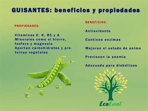 Guisantes Propiedades Nutricionales Y Beneficios