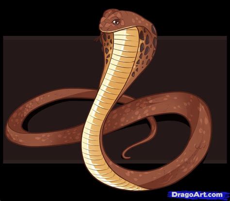 Free Cobra Drawing, Download Free Cobra Drawing png images, Free ...