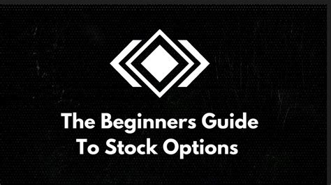 The Beginners Guide To Stock Options For New Traders To Understand The