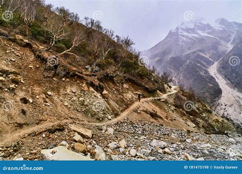 Country Road In The Mountains With Naked Mountain Trees Stock Photo