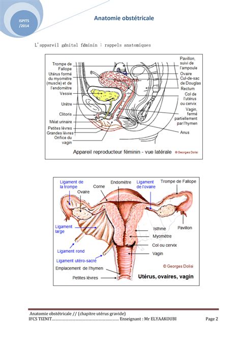 SOLUTION Appareil Genital Elyaa9obi Studypool