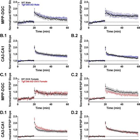 Nmdar Dependent Long Term Potentiation Ltp Is Selectively Enhanced At