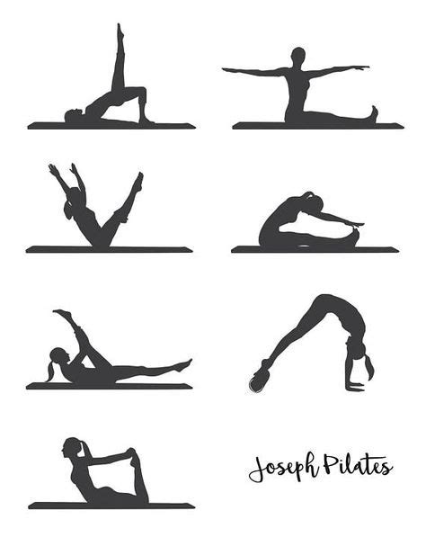 Pilates Vector At Vectorified Collection Of Pilates Vector Free